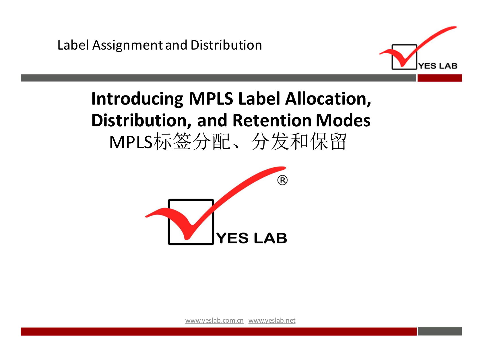 Label Assignment and Distribution 
YES LAB 
Introducing MPLS Label Allocation, 
Distribution, and Retention Modes 
YES LAB 
wwwveslabnet 