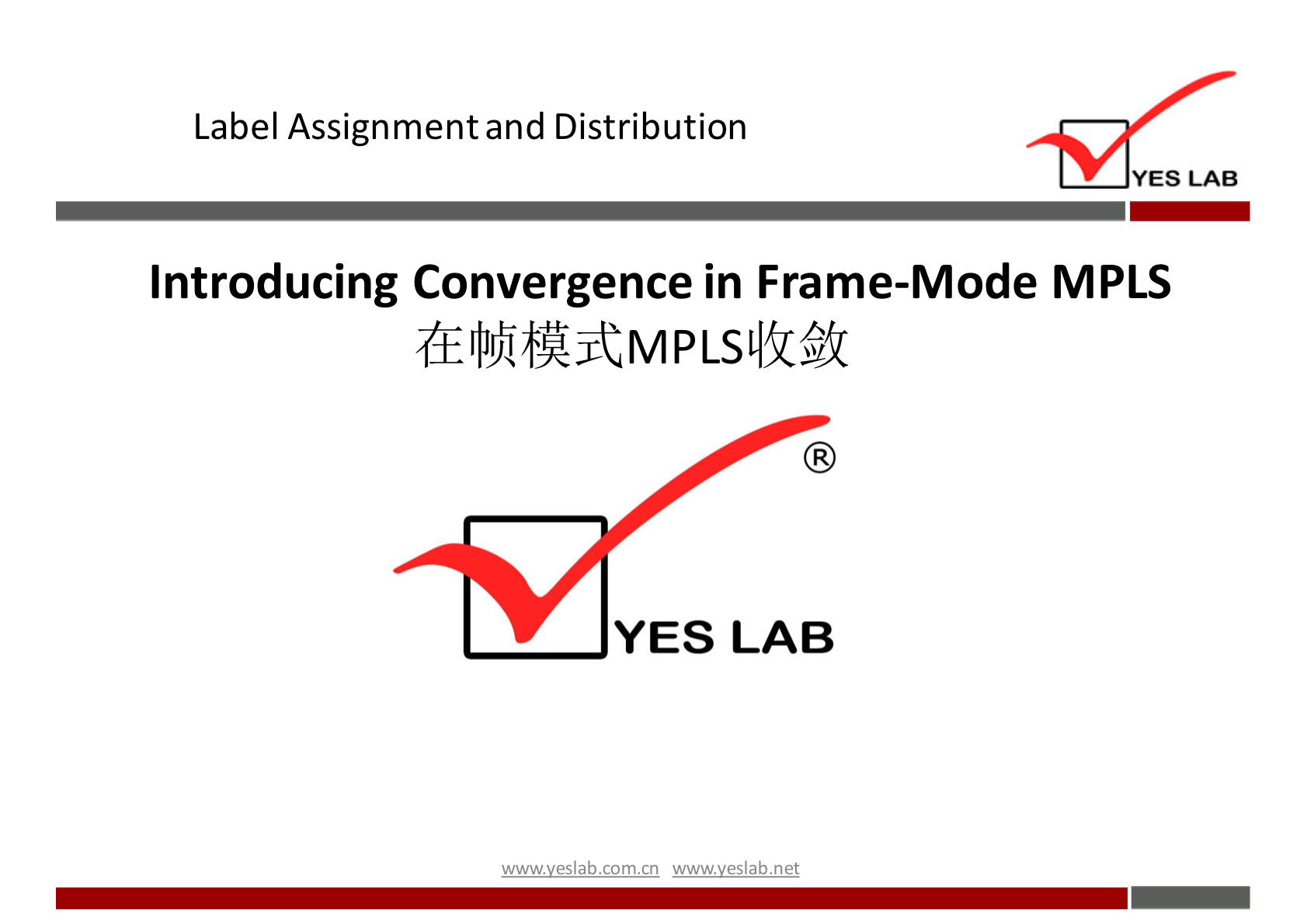 Label Assignment and Distribution 
YES LAB 
Introducing Convergence in Frame-Mode MPLS 
YES LAB 