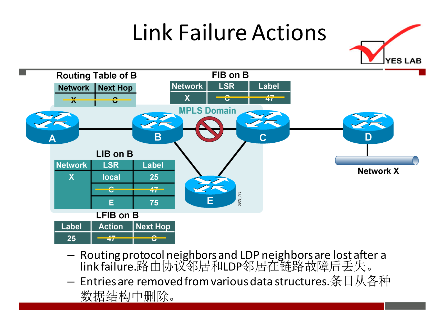 Link Failure Actions 
Routing Table Of B 
Network Next HO 
LIB on B 
Network _ LSR 
Label 
local 
75 
LFIB on B 
Label Action Next Hop 
25 
YES LAB 
FIB on B 
Network 
LSR 
Label 
MPLS Domain 
Network X 
— Routing protocol neighbors and LDP nei hborsare lost after a 
link failure.% 0 
— Entries are removed from various data structures* 