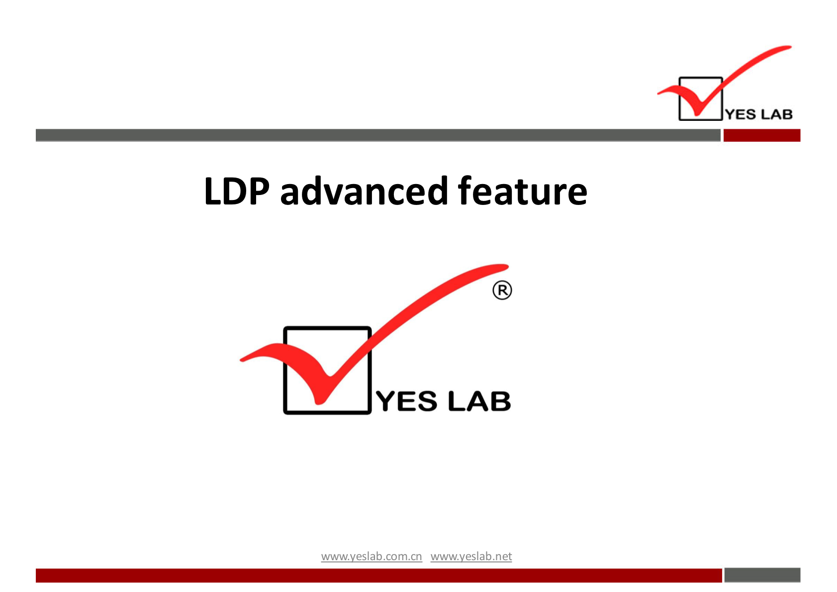 YES LAB 
LDP advanced feature 
YES LAB 
wwwveslabnet 