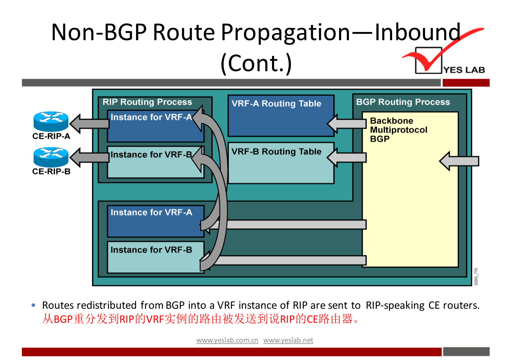 Non-BGP Route Propagation—lnboun 
RIP Routing process 
Instance for VRF-A 
CE.RIP.A 
Instance for VRF 
CE-RIP.B 
Instance for VRF-A 
Instance for VRF-B 
(Cont.) 
VRF-A Routing Tame 
VRF-B Routing Tame 
YES LAB 
BGP Routing process 
Backbone 
Multiprotocol 
BGP 
• Routes redistributed from BGP into a VRF instance Of RIP are sent to RIP-speaking CE routers. 
wwwveslabnet 