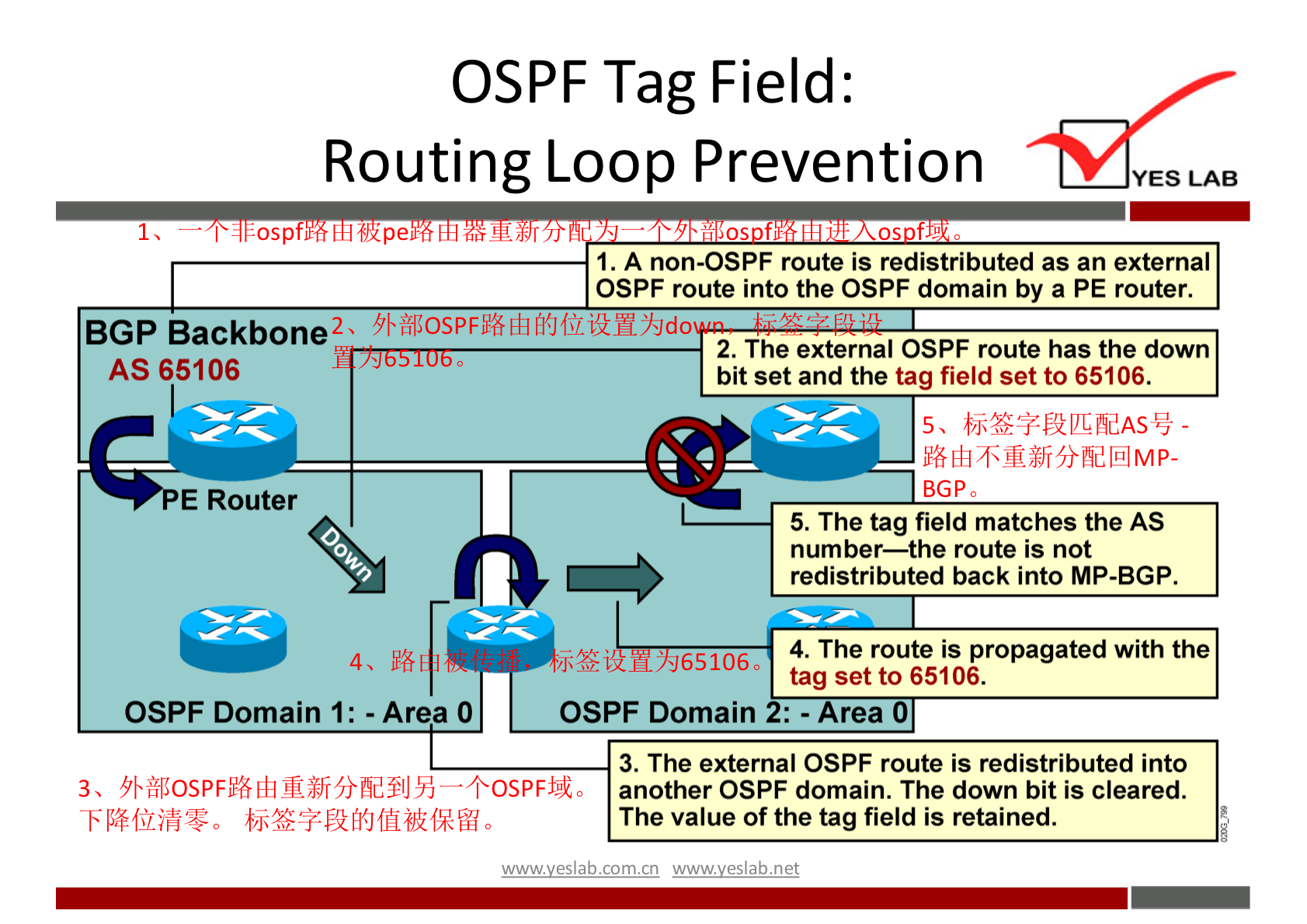 OSPF Tag Field: 
Routing Loop Prevention 
YES LAB 
ospf 
fikpe 
BGP Backbone 
AS 65106 
E Router 
OSPF Domain I: - Area O 
fil 
1 . A non-OSPF route is redistributed as an external 
OSPF route into the OSPF domain by a PE router. 
2. The external OSPF route has the down 
bit set and the tag field set to 65106. 
• '65106, 
OSPF Domain 
BGPO 
5. The tag field matches the AS 
number—the route is not 
redistributed back into MP-BGP. 
4. The route is propagated with the 
tag set to 65106. 
rea 
3. The extemal OSPF route is redistributed into 
another OSPF domain. The down bit is cleared. 
The value of the tag field is retained. 
wwwveslabnet 