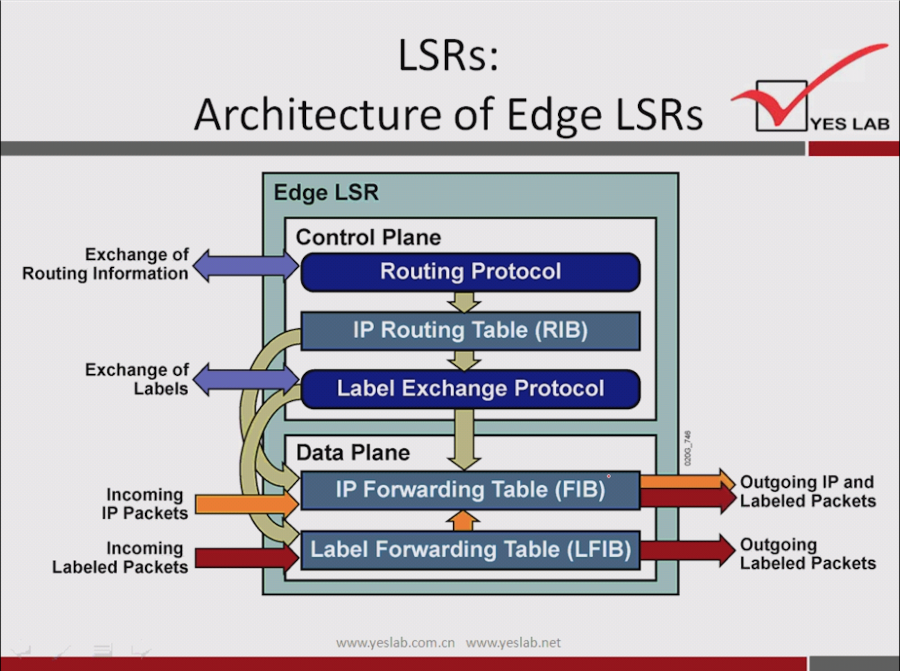 Exchange of 
Routing Information 
Exchange of 
Labels 
Incoming 
IP Packets 
Incoming 
Labeled Packets 
LSRs: 
Architecture of Edge LSRs 
Edge LSR 
Control Plane 
Routing Protocol 
IP Routing Table (RIB) 
Label Exchange Protocol 
Data Plane 
IP Forwarding Table (FIB) 
Label Forwarding Table (LFIB) 
YES LAB 
Outgoing IP and 
Labeled Packets 
Outgoing 
Labeled Packets 