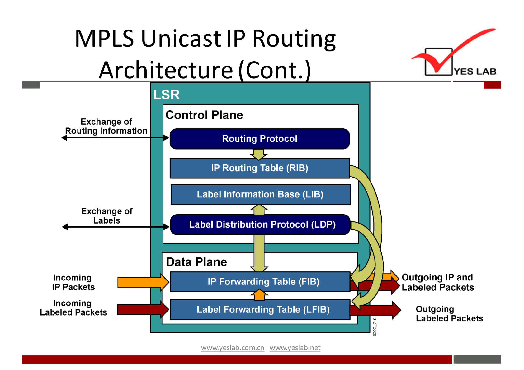 MPLS UnicastlP Routing 
Architecture Cont. 
LSR 
Control Plane 
Exchange Of 
outing Information 
Exchange Of 
Labels 
Incoming 
IP packets 
Incoming 
Labeled Packets 
Routing Protocol 
IP Routing Table (RIB) 
Label Information Base (LIB) 
Label Distribution Protocol (LDP) 
Data Plane 
IP Forwarding Table (FIB) 
Label Forwarding Tame (I-FIB) 
wwwveslabnet 
YES LAB 
Outgoing IP and 
Labeled Packets 
Outgoing 
Labeled Packets 