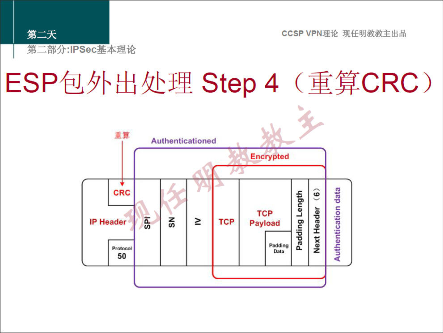 ccsp VPNN 
step 4 
A uthenticationed 
Encrypted 
TCP 
payload 
Header 
50 
2 
TCP 