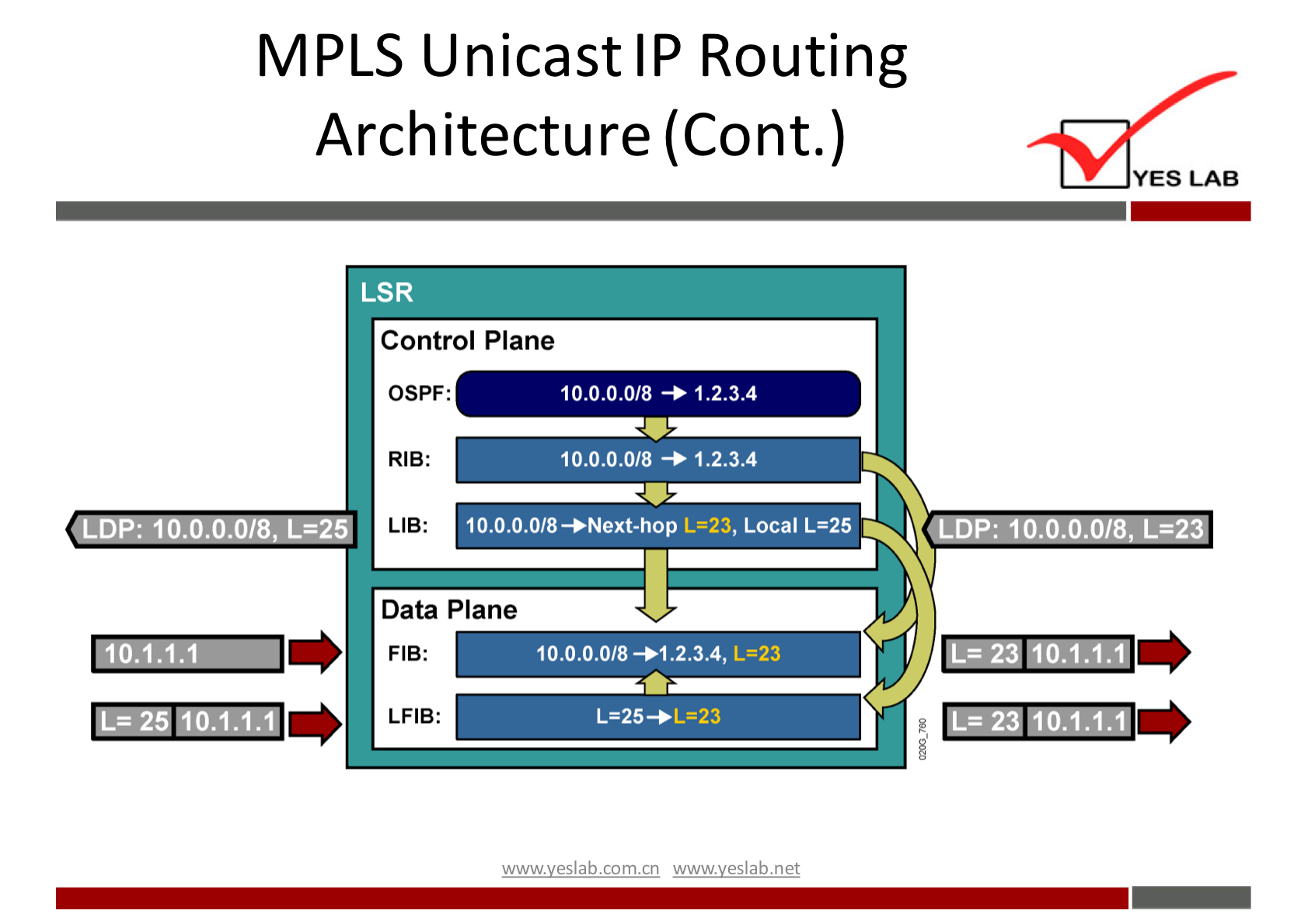 OSPF: 
RIB: 
LIB: 
LDP: 10.0.0.0/8, I-=25 
10.1.1.1 
L=25 10.1.1.1 
MPLS Unicast IP Routing 
Arch itecture (Cont.) 
LSR 
Control Plane 
L*23 
10.0.0.0/8 + 1.2.3.4 
10.0.0.0/8 1.2.3.4 
10.0.o.0/8+Next-hop L=23, Local L=25 
Data Plane 
LAB: 
YES LAB 
LDP: 10.0.0.0/8, L=23 
I L=23 10.1.1.1 
1-=23 10.1.1.1 
10.0.0.0/8+1.2.3.4, 
L225+L=23 
wwwveslabnet 