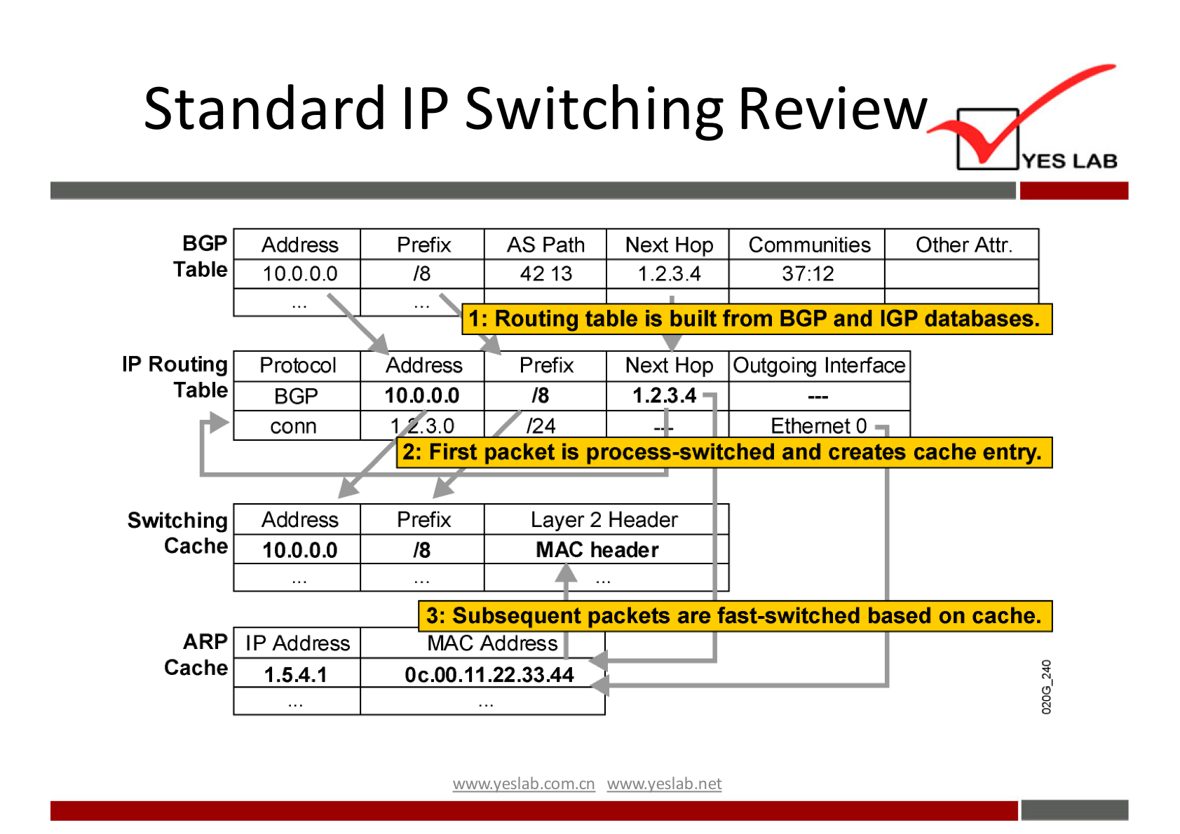 Standard IP Switching Review 
BGP 
Table 
IP Routing 
Table 
Switching 
Cache 
Address 
10.0.0.0 
Protocol 
BGP 
conn 
Add ress 
100.00 
Prefix 
18 
Address 
100.00 
AS path 
42 13 
YES LAB 
Next Hop Communities Other Attr. 
1.2.3.4 
3712 
1: Routing table is built from BGP and IGP databases. 
18 
124 
Next Hop Outgoirv Interface 
1.234 
Ethemet 0 
2: First packet is process-switched and creates cache en 
Prefix 
18 
Layer 2 Header 
MAC header 
ARP IP Address 
Cache I .54. I 
3: Subsequent packets are fast-switched based on cache 
MAC Address 
ocoo.11.22.33.44 
wwwveslabnet 