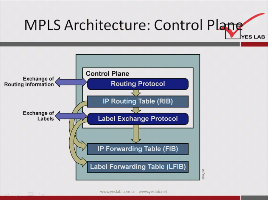 MPLS Architecture: Control P 
Control Plane 
YES LAB 
Exchange of 
Routing Information 
Exchange of 
Labels 
Routing Protocol 
IP Routing Table (RIB) 
Label Exchange Protocol 
IP Forwarding Table (FIB) 
Label Forwarding Table (LFIB) 