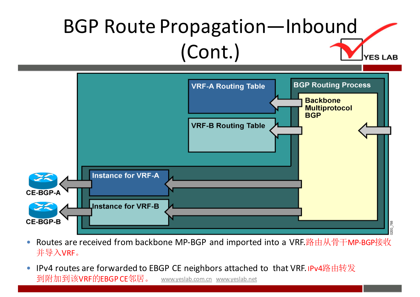 BGP Route Propagation—lnbound 
(Cont.) 
YES LAB 
BGP Routing process 
VRF-A Routing Table 
Backbone 
Multiprotocol 
BGP 
VRF-B Routing Table 
Instance for VRF-A 
CE.BGP-A 
nstance for VRF-B 
CE-BGP-B 
Routes are received from backbone MP-BGP and imported into a VRF. 
• IPv4 routes are forwarded to EBGP CE neighbors attached to that VRF. 
flJLfåJJ#IJiZVRFfßJEBGPCE-QLEo 
wwwveslabnet 