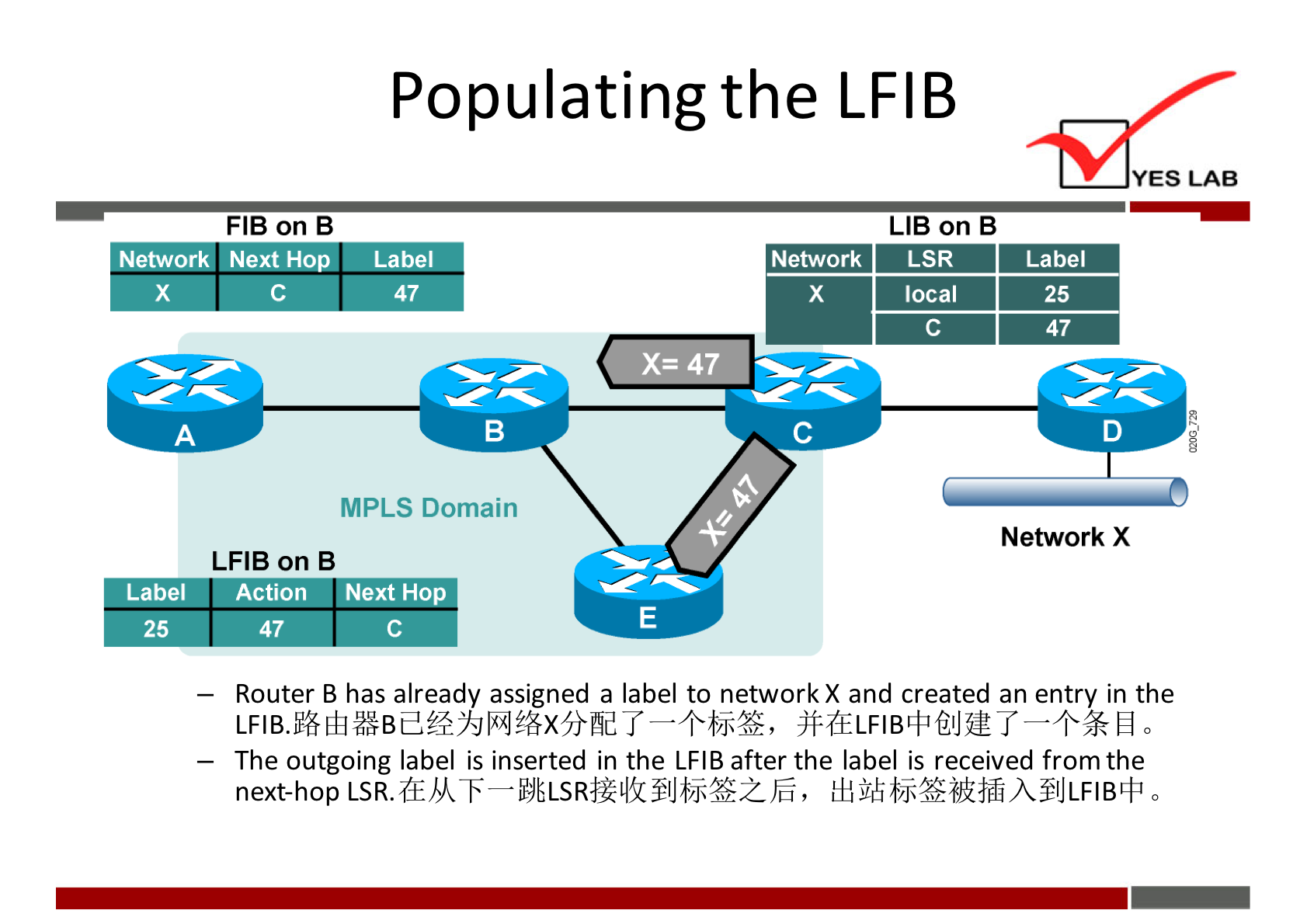 Populating the LFIB 
YES LAB 
LIB on B 
FIB on B 
Network Next Hop 
Label 
47 
Network 
47 
LSR 
local 
Label 
25 
47 
Network X 
Label 
25 
MPLS Domain 
I-FIB on B 
Action Next Hop 
47 
— Router B has already assigned a label to network X and created an entry in the 
jf-tELFlB4a@Jur 
— The outgoing label is inserted in the LFIB after the label is received from the 
next-hop 