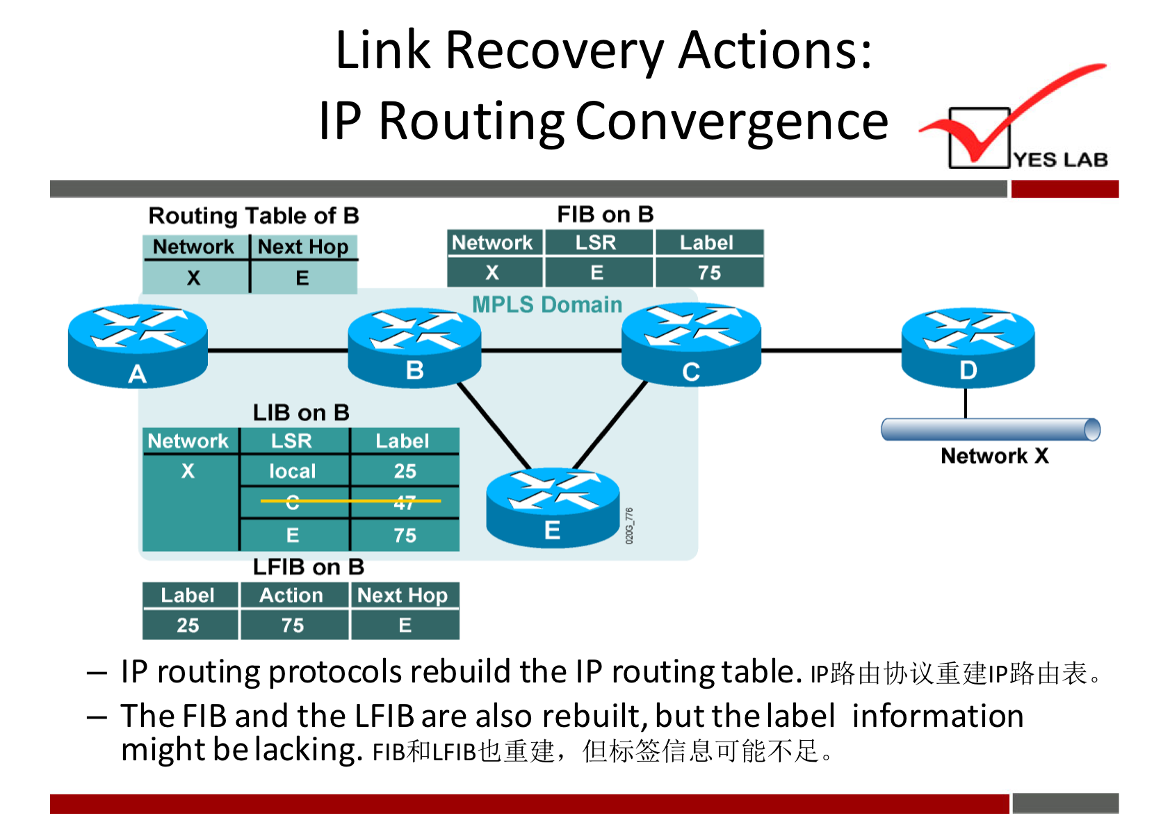 Link Recovery Actions: 
IP Routing Convergence 
Routing Table of B 
Network Next HO 
LIB on B 
Network LSR 
local 
YES LAB 
FIB on B 
Network LSR 
Label 
MPLS Domain 
Network X 
Label 
25 
75 
LFIB on B 
Label Action Next HO 
25 
— IP routing protocols rebuild the IP routing table. 
— The FIB and the LFIB are also rebuilt, but the label information 
might be lacking. 