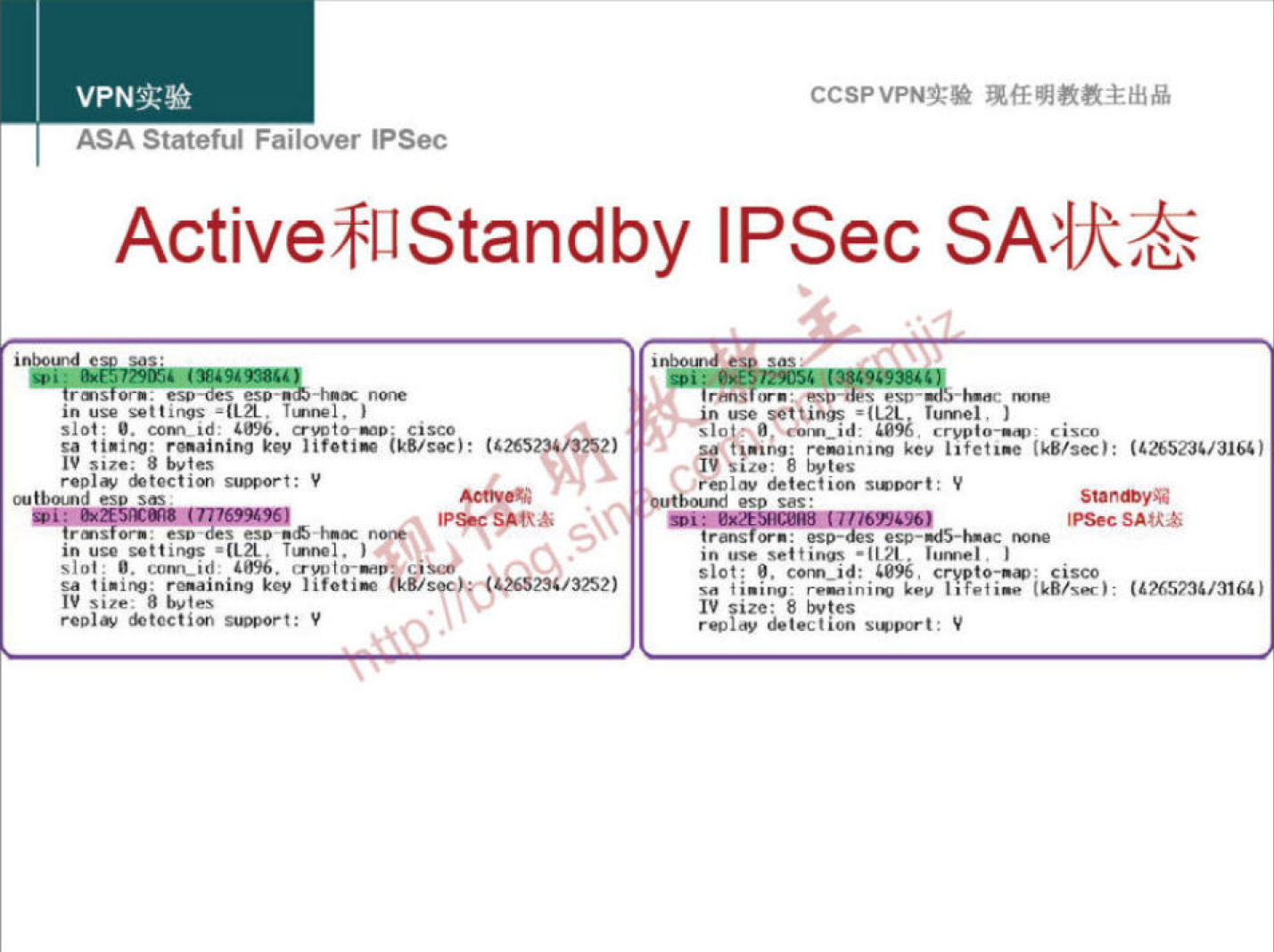 ccspvPNą:• 
ASA Statetui Fallover IPSec 
Active$LlStandby IPSec 
in u. 
sa lif•ti• 
eso 
in u. • (L ă. 
«_m'_id 
Sa kW 
s lot ' a, crvpto-.v 
in • 1171. 
re•inim 
sta nova 
tP&c 
382) 