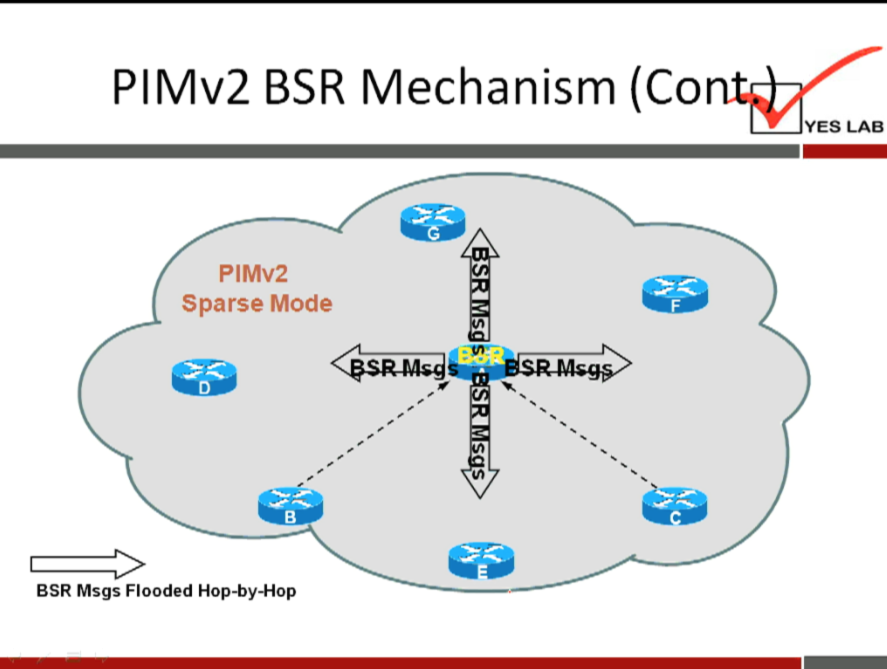 PIMv2 BSR Mechanism 
PIMv2 
Sparse Mode 
BSR Msgs Flooded Hop-by-Hop 