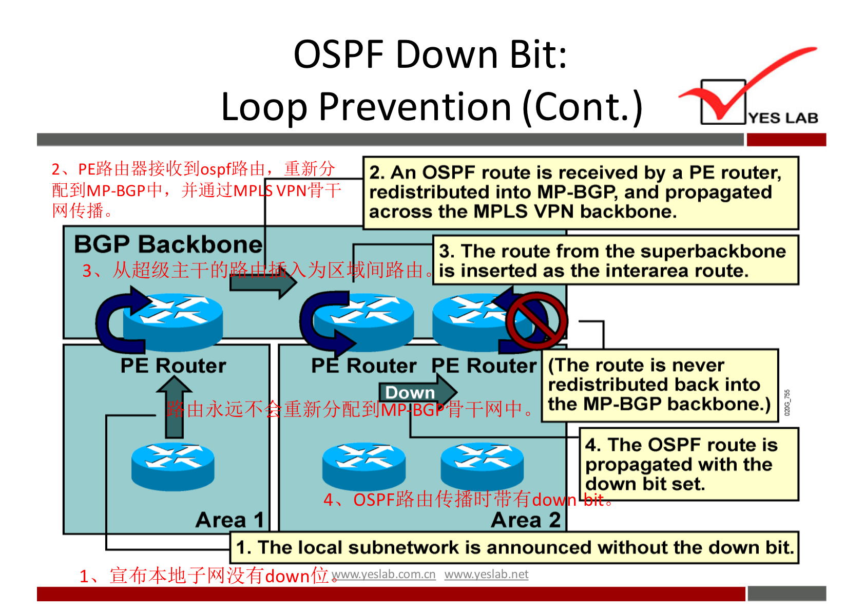 OSPF Down Bit: 
Loop Prevention (Cont.) 
YES LAB 
fid$lJMP-BGPtfr, jf-iMidMp vpNff-F 
BGP Backbone 
2. An OSPF route is received by a PE router, 
redistributed into MP-BGP, and propagated 
across the MPLS VPN backbone. 
3. The route from the superbackbone 
is inserted as the interarea route. 
PE Router 
Area 1 
P Router E Router (The route is never 
redistributed back into 
Down 
the MP-BGP backbone.) 
MP BG 
4. The OSPF route is 
propagated with the 
down bit set. 
4, •ri}fido 
1. The local subnetwork is announced without the down bit. 
1, 