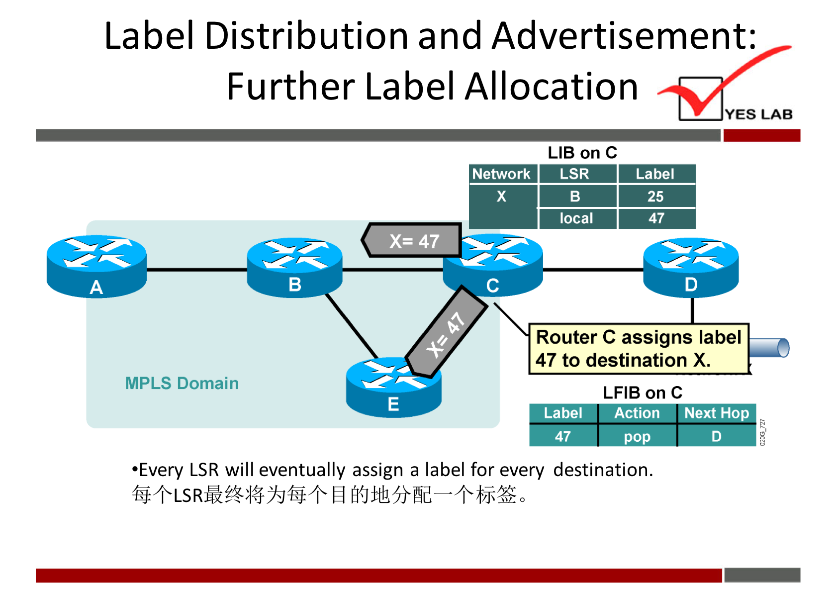 Label Distribution and Advertisement: 
Further Label Allocation 
YES LAB 
LIB on C 
Network 
LSR 
local 
x=47w 
Label 
25 
47 
MPLS Domain 
Router C assigns label 
47 to destination X. 
LFIB on C 
Label 
47 
Action Next Hop 
pop 
•Every LSR will eventually assign a label for every destination. 