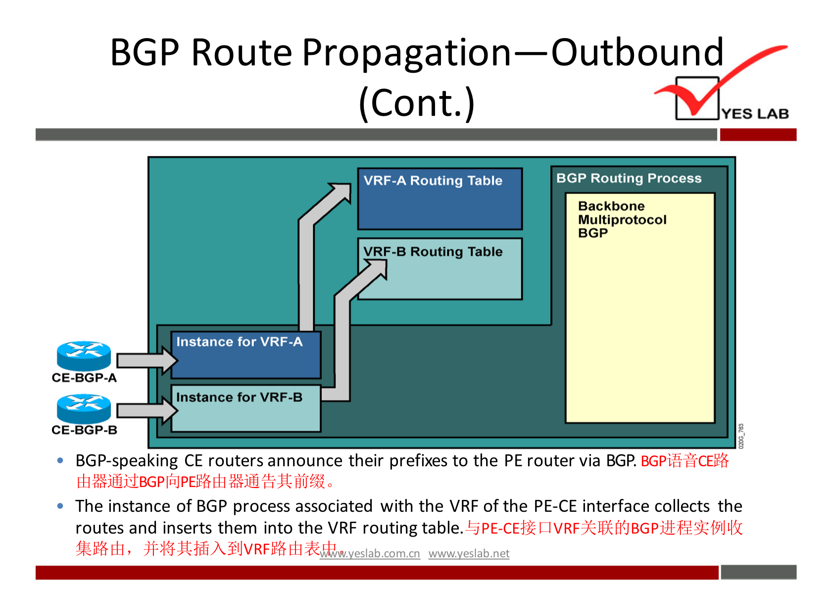 BGP Route Propagation—Outbound 
(Cont.) 
YES LAB 
BGP Routing process 
VRF-A Routing Table 
Backbone 
M u Itiprotocol 
BGP 
VRF-B Routing Table 
Instance for VRF-A 
CE-BGP-A 
Instance for VRF-B 
CE-BGP-B 
BGPiihitCE}6 
BGP-speaking CE routers announce their prefixes to the PE router via BGP. 
The instance of BGP process associated with the VRF of the PE-CE interface collects the 
routes and inserts them into the VRF routing 
, wwwveslabnet 