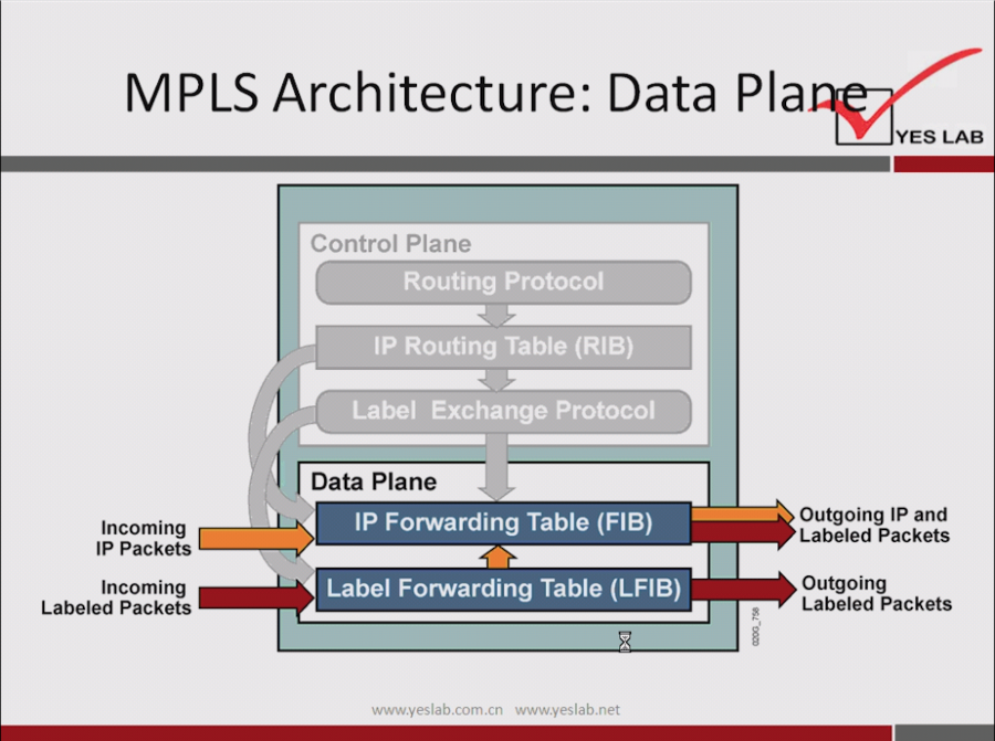 MPLS Architecture: Data Pla 
Control Plane 
YES LAB 
Incoming 
IP Packets 
Incoming 
Labeled Packets 
Routing Protocol 
IP Routing Table (RIB) 
Label Exchange Protocol 
Data Plane 
IP Forwarding Table (FIB) 
Label Forwarding Table (LAB) 
Outgoing IP and 
Labeled Packets 
Outgoing 
Labeled Packets 