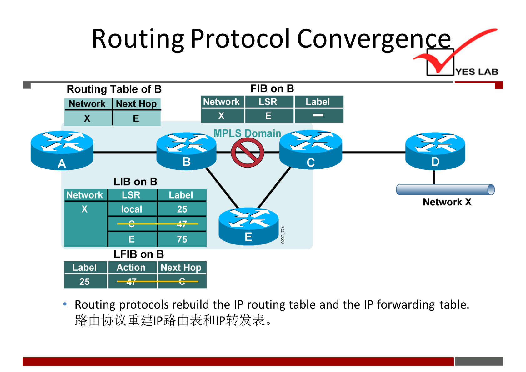 Routing Protocol Convergen 
Routing Table Of B 
Network Next HO 
x 
Network 
Label 
25 
YES LAB 
FIB on B 
Network 
LSR 
Label 
MPLS Domain 
Network X 
LIB on B 
LSR Label 
local 
75 
LFIB on B 
Action Next Hop 
Routing protocols rebuild the IP routing table and the IP forwarding table. 