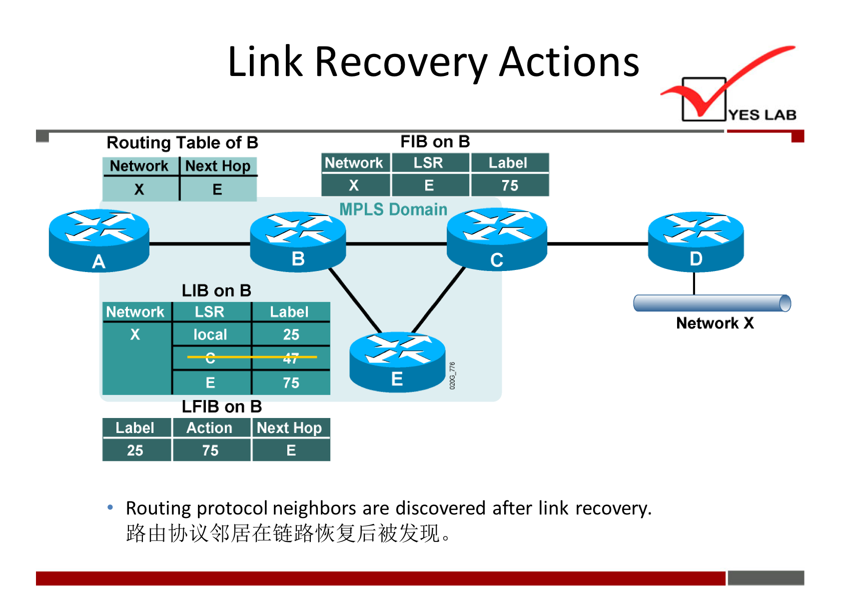 Link Recovery Actions 
YES LAB 
FIB on B 
Routing Table Of B 
Network Next HO 
x 
Network 
Label 
25 
Network 
LSR 
MPLS Domain 
Label 
75 
Network X 
LIB on B 
LSR Label 
local 
75 
LFIB on B 
Action Next Ho 
75 
Routing protocol neighbors are discovered after link recovery. 