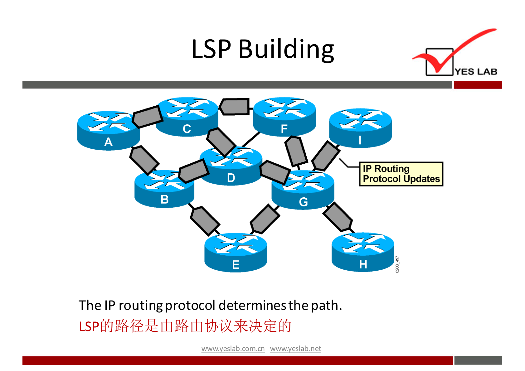 LSP Building 
YES LAB 
IP Routing 
Protocol updates 
The IP routing protocol determinesthe path. 
wwwveslabnet 