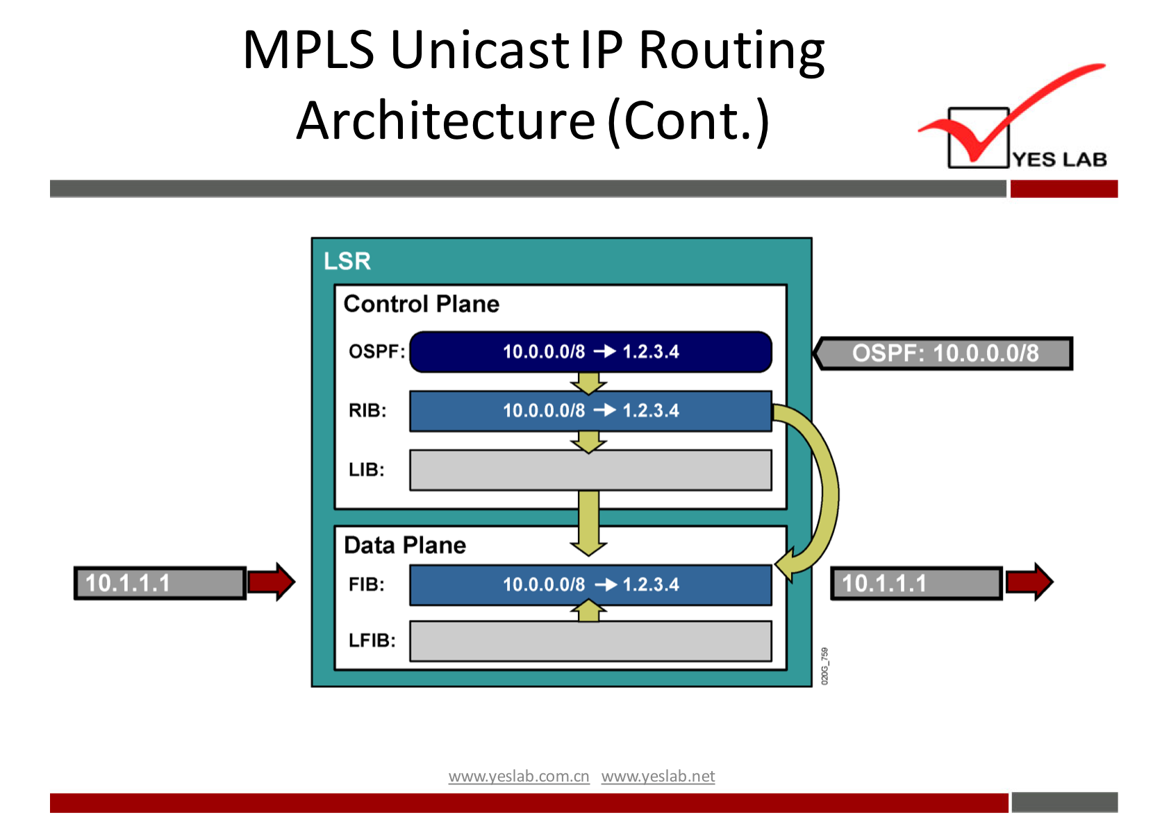 MPLS Unicast IP Routing 
Arch itectu re (Cont.) 
LSR 
Control Plane 
YES LAB 
OSPF: 10.0.0.0/8 
10.1.1.1 
OSPF: 
RIB: 
LIB: 
Data Plane 
FIB: 
LFIB: 
10.0.0.0/8 + 1.2.3.4 
10.0.0.0/8 + 1.2.3.4 
10.0.0.0/8 +1.2.3.4 
wwwveslabnet 