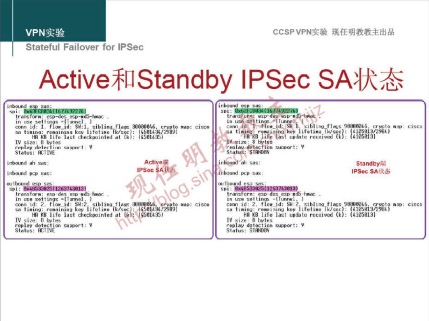 VPNN 
Statetul Fanover for IPSec 
states: 
CCSPVPNT* 
IPSec 
lite In: 
StaMby 
SAtRb 