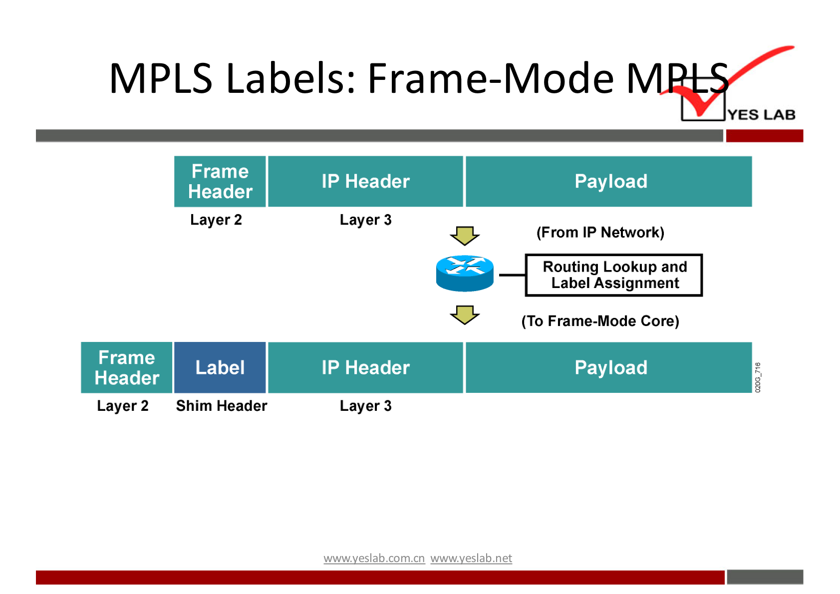 MPLS Labels: Frame-Mode Frame Header Layer 2 Frame Header Layer 2 Label Shim Header IP Header Layer 3 IP Header Layer 3 w.w.v.yeslab.com.cn YES LAB Payload (From IP Network) (To Frame-Mode Core) Payload 