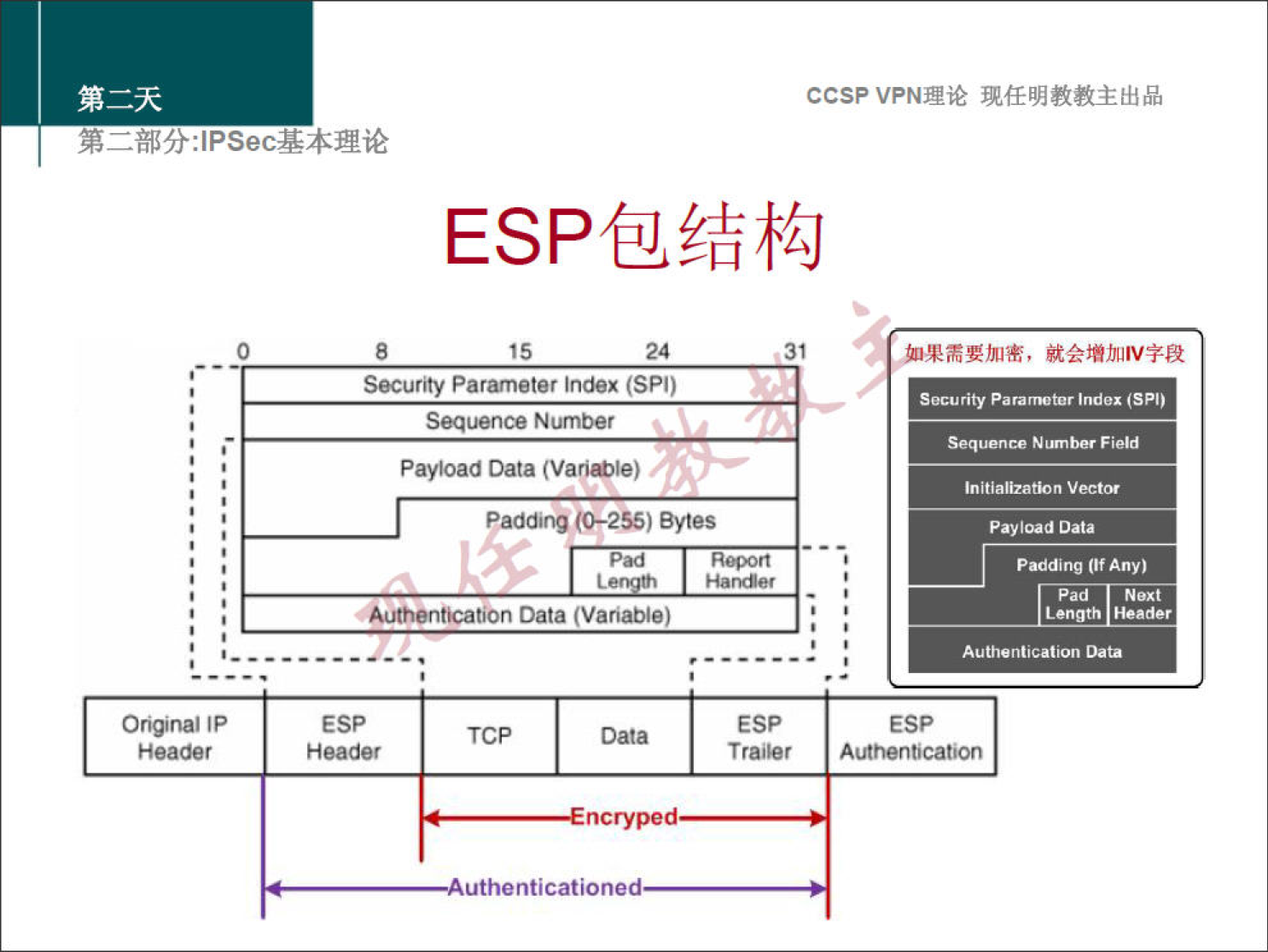 ccsp VPNN 
ESP @14+0 
8 
15 
24 
31 
Security Parameter Index (SPI) 
Sequence Number 
Payload Data (Vari@le) 
P 
(0-255) Bytes 
Original IP 
Header 
Authentication Data (Variable) 
ESP 
TCP 
uthenticatio 
ESP 
Security 
Field 
Initialization Vector 
Payload Data 
Puiding Of Any) 
Pad Next 
Length Header 
Authentication 
ESP 
Authentication 