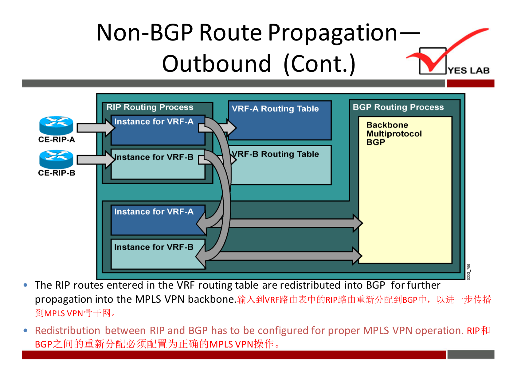 Non-BGP Route Propagation— 
Outbound (Cont.) 
YES LAB 
RIP Routing Process 
Instance for VRF-A 
CE-RIP-A 
nstance for VRF-B 
CE.RIP.B 
Instance for VRF-A 
Instance for VRF-B 
VRF-A Routing Tame 
RF-B Routing •rame 
BGP Routing Process 
Backbone 
Multiprotocol 
BGP 
The RIP routes entered in the VRF routing table are redistributed into BGP or urther 
propagation into the MPLS VPN backbone. 
$JMPLS 
• Redistribution between RIP and BGP has to be configured for proper MPLS VPN operation. RIPTII 
BGP2 