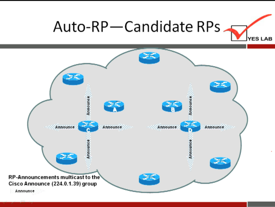 Auto-RP—Candidate RPs 
Announce 
RP-Announcements multicast to the 
Cisco Announce (224.0.1.39) group 
Announce 
Announce 
Announce 
YES LAB 
Announce 