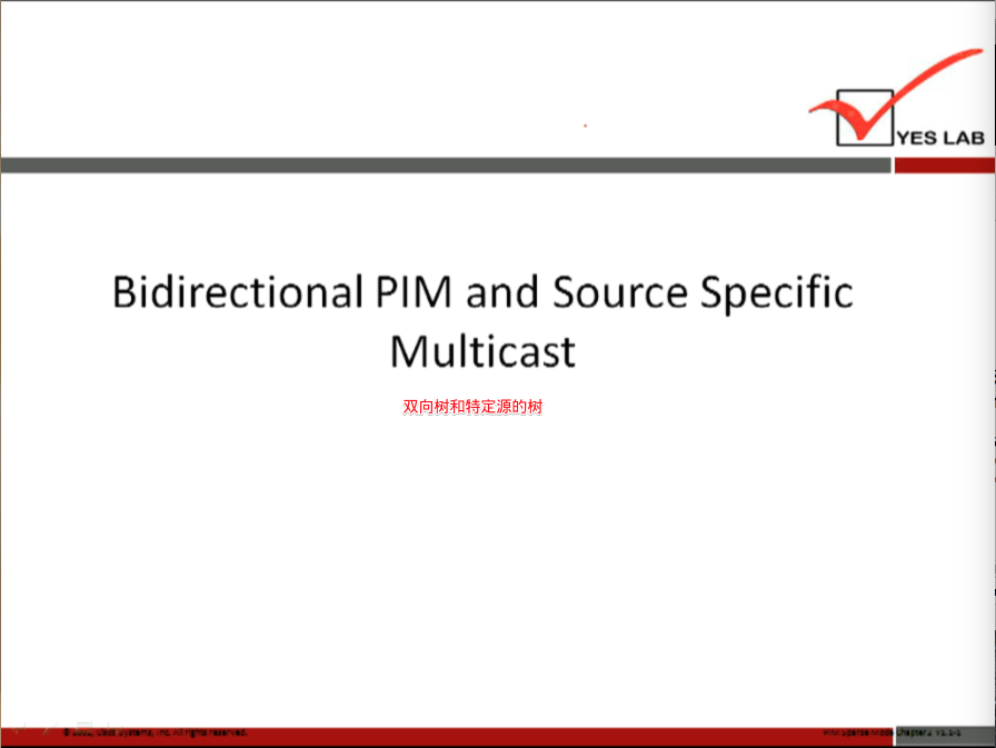 YES LAB 
Bidirectional PIM and Source Specific 
Multicast 