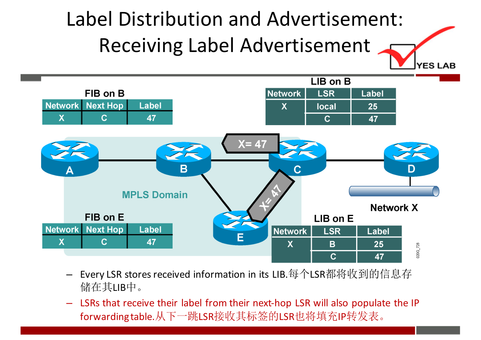 Label Distribution and Advertisement: 
Receiving Label Advertisement 
YES LAB 
LIB on B 
FIB on B 
Network Next Hop 
Network 
LSR 
local 
Label 
47 
MPLS Domain 
FIB on E 
Network Next Hop Label 
47 
LIB on E 
Network 
LSR 
Label 
25 
47 
Network X 
Label 
25 
47 
— Every LSR stores received information in its 
LSRs that receive their label from their next-hop LSR will also populate the IP 
forwarding table. A LS 0 