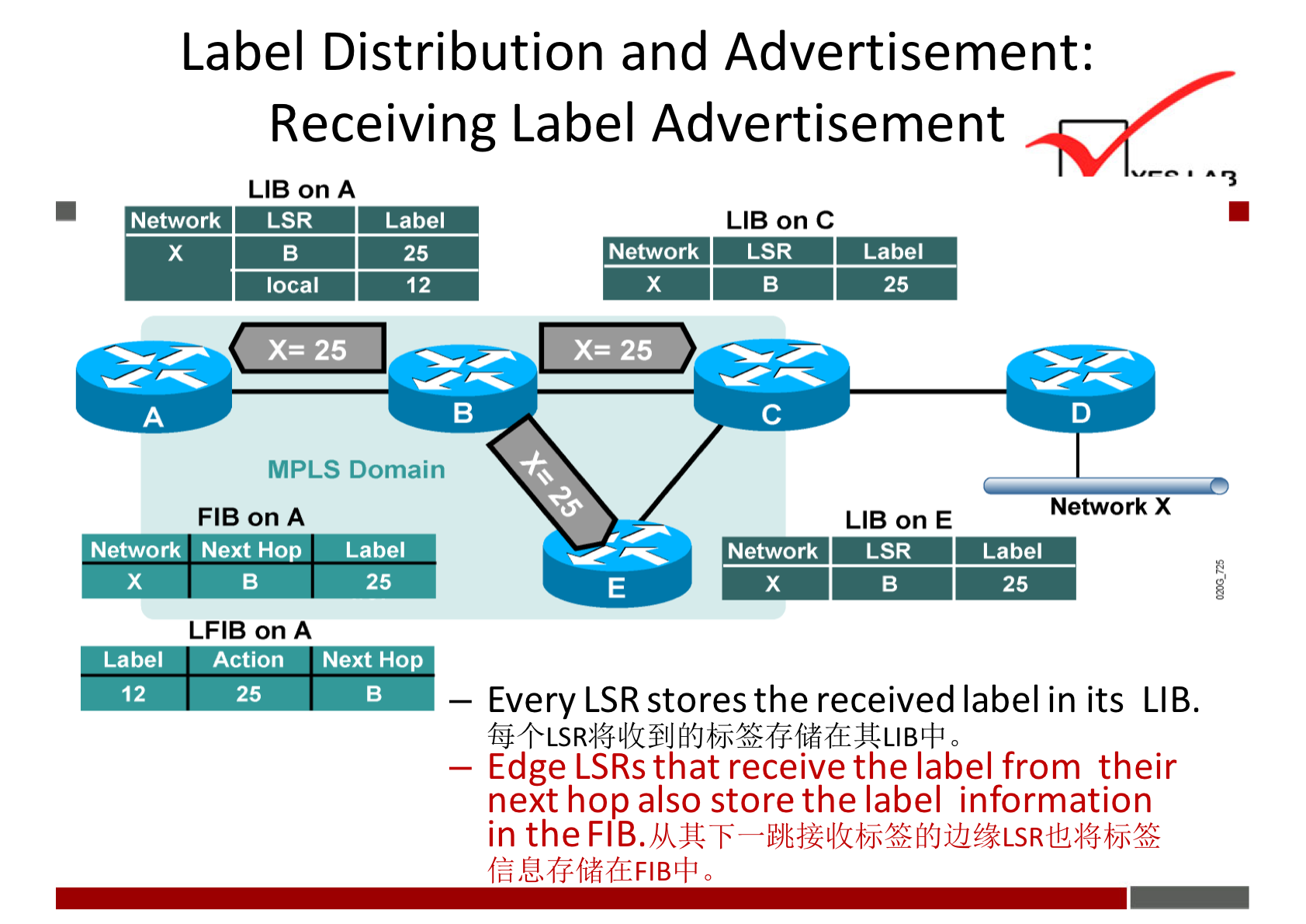 Label Distribution and Advertisement: 
Receiving Label Advertisement 
LIB on A 
Network 
LSR 
local 
Label 
25 
12 
Network 
MPLS Domain 
FIB on A 
Network Next Hop _ Label 
25 
LFIB on A 
Label Action Next Hop 
LIB on C 
LSR 
Network 
Label 
25 
LIB on E 
LSR 
Label 
25 
Network X 
12 
25 
— Every LSR stores the received label in its LIB. 
— Edge LSRs that receive the label from their 
next hop also store the label information 
in the 