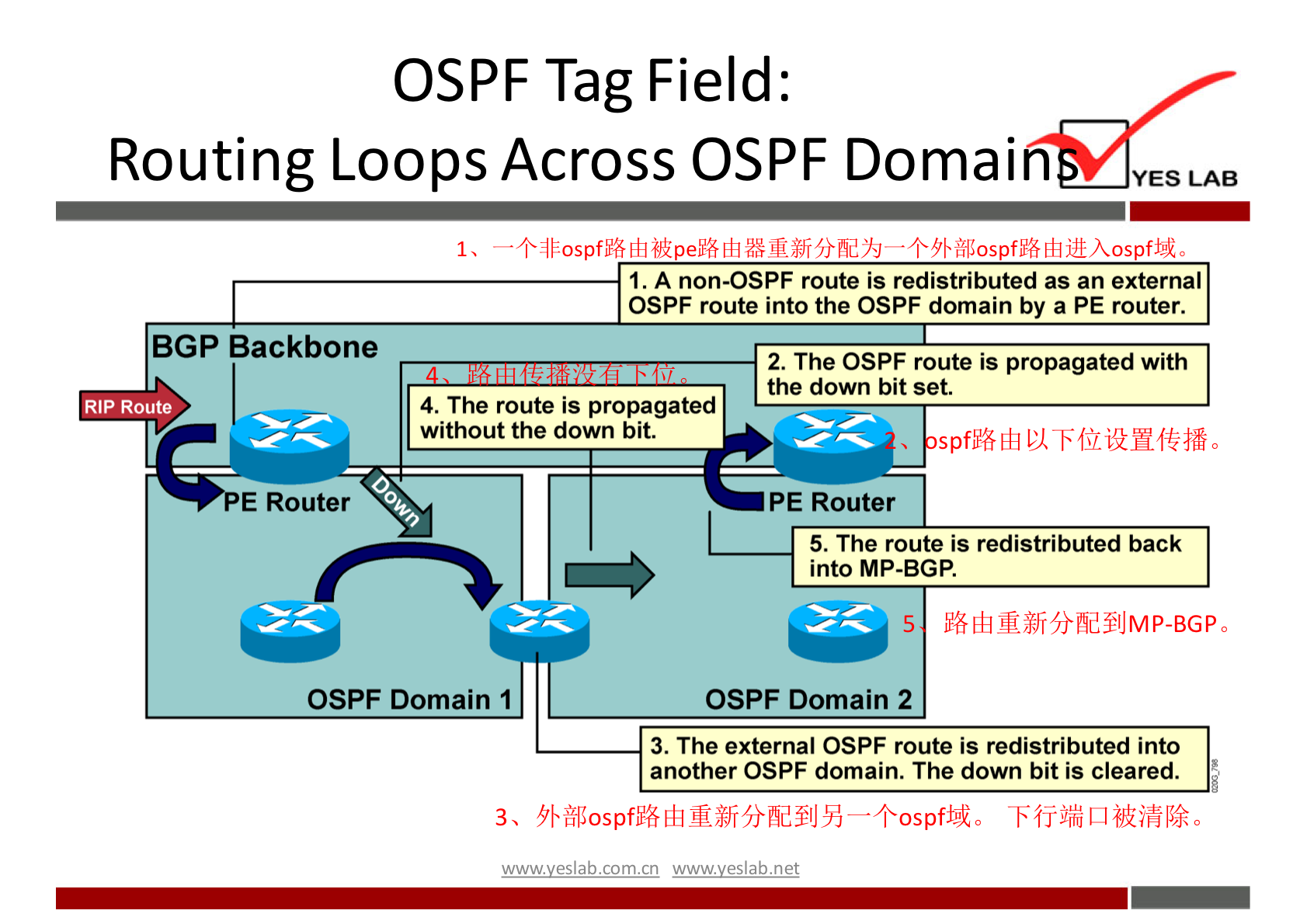 OSPF Tag Field: 
Routing Loops Across OSPF Domain 
YES LAB 
1. A non-OSPF route is redistributed as an external 
OSPF route into the OSPF domain by a PE router. 
BGP Backbone 
RIP Route 
E Router 
4. The route is propagated 
without the down bit. 
2. The OSPF route is propagated with 
the down bit set. 
spf}6 
PE Router 
5. The route is redistributed back 
into MP-BGP. 
5 
OSPF Domain 1 
OSPF Domain 2 
3. The external OSPF route is redistributed into 
another OSPF domain. The down bit is cleared. 
wwwveslabnet 