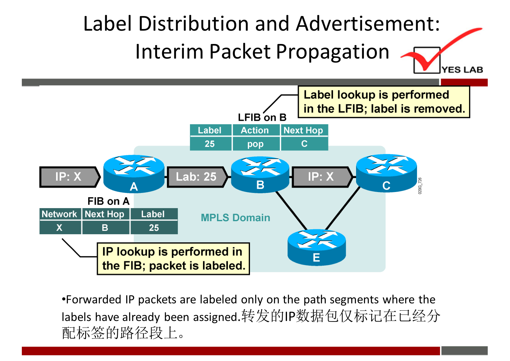 Label Distribution and Advertisement: 
Interim Packet Propagation 
YES LAB 
Label lookup is performed 
in the LFIB; label is removed. 
LFIB on B 
Action Next Ho 
pop 
Label 
25 
'Lab: 25' 
FIB on A 
Network Next Hop Label 
25 
MPLS Domain 
IP lookup is performed in 
the FIB; packet is labeled. 
•Forwarded IP packets are labeled only on the path segments where the 
labels have already been e.ß4fr 