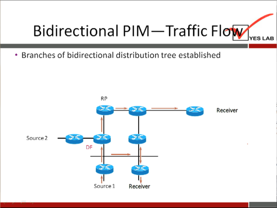 Bidirectional PIM—Traffic Fl 
YES LAB 
• Branches of bidirectional distribution tree established 
Source 2 
DF 
Source 1 
Receiver 
Receiver 