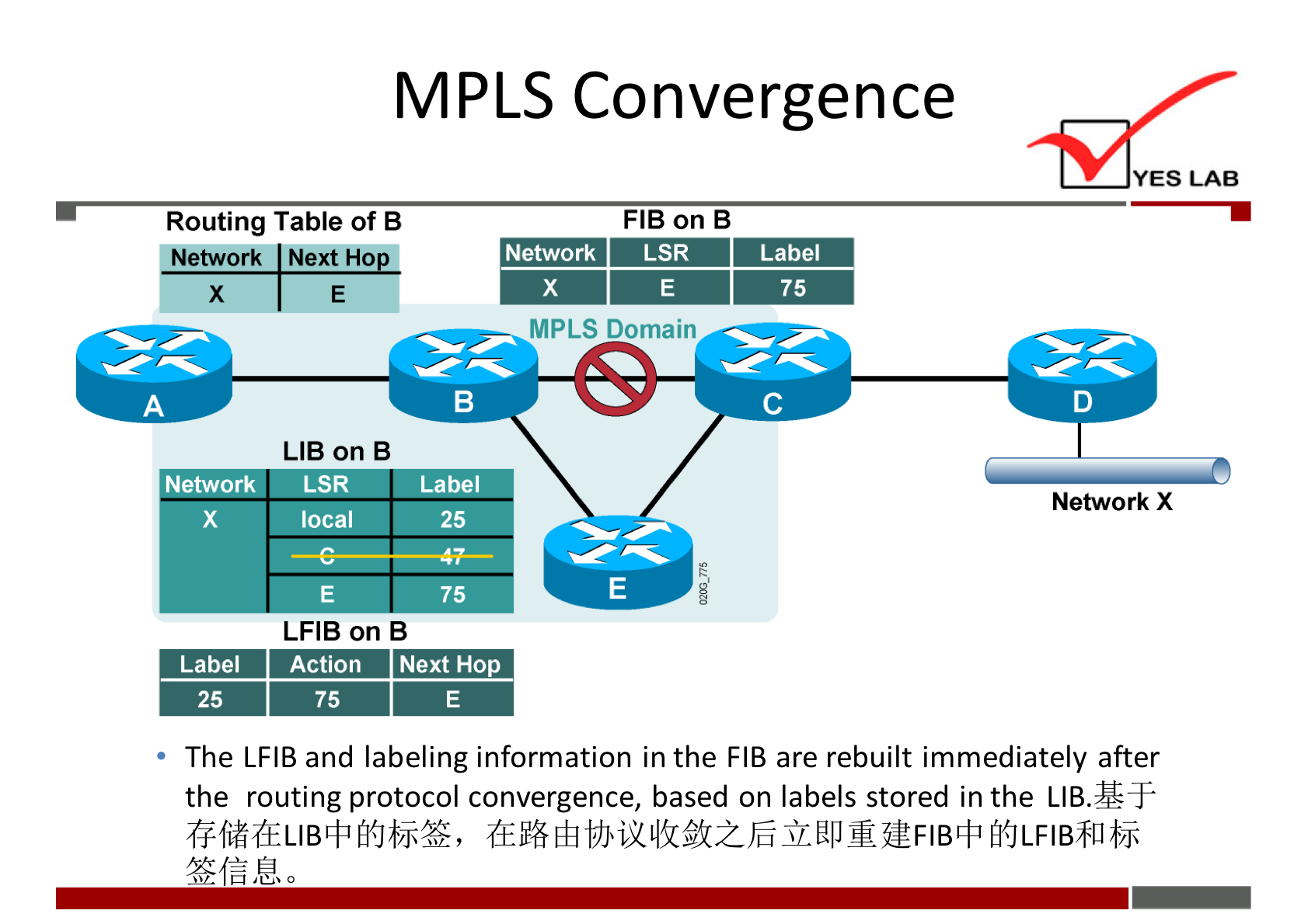 MPLS Convergence 
YES LAB 
FIB on B 
Routing Table Of B 
Network Next HO 
x 
Network 
Label 
25 
Network 
LSR 
MPLS Domain 
Label 
75 
Network X 
LIB on B 
LSR Label 
local 
75 
LFIB on B 
Action Next Ho 
75 
The LFIB and labeling information in the FIB are rebuilt immediately after 
the routing protocol convergence, based on labels stored in the 