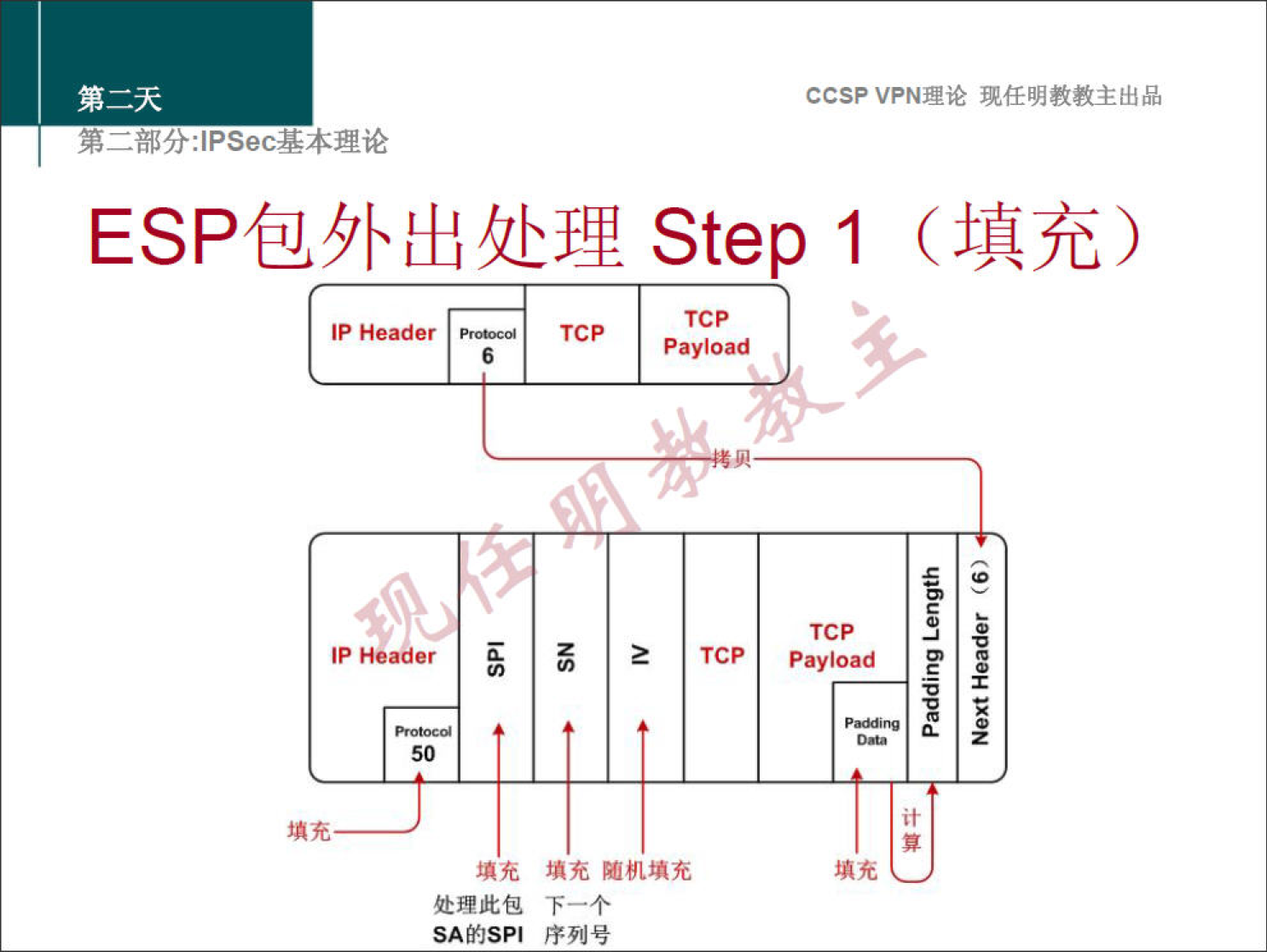 CCSPVPN 理 论 现 任 明 教 教 主 出 品 
弟 二 部 分 」 PSec 基 本 理 论 
ESP 包 外 出 处 理 Step 1 （ 填 充 ） 
Header 
TCP 
Payload 
6 
冖 0 丷 00g 工 ON 
乇 0 = 0 凵 6u 一 ℃ ℃ 0 戗 
煩 充 
填 充 
填 充 
填 充 随 机 填 充 
处 理 此 包 
下 一 个 
序 列 号 
SA 的 SPI 