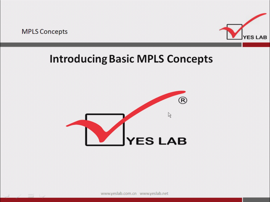 MPLS Concepts 
YES LAB 
Introducing Basic MPLS Concepts 
YES LAB 