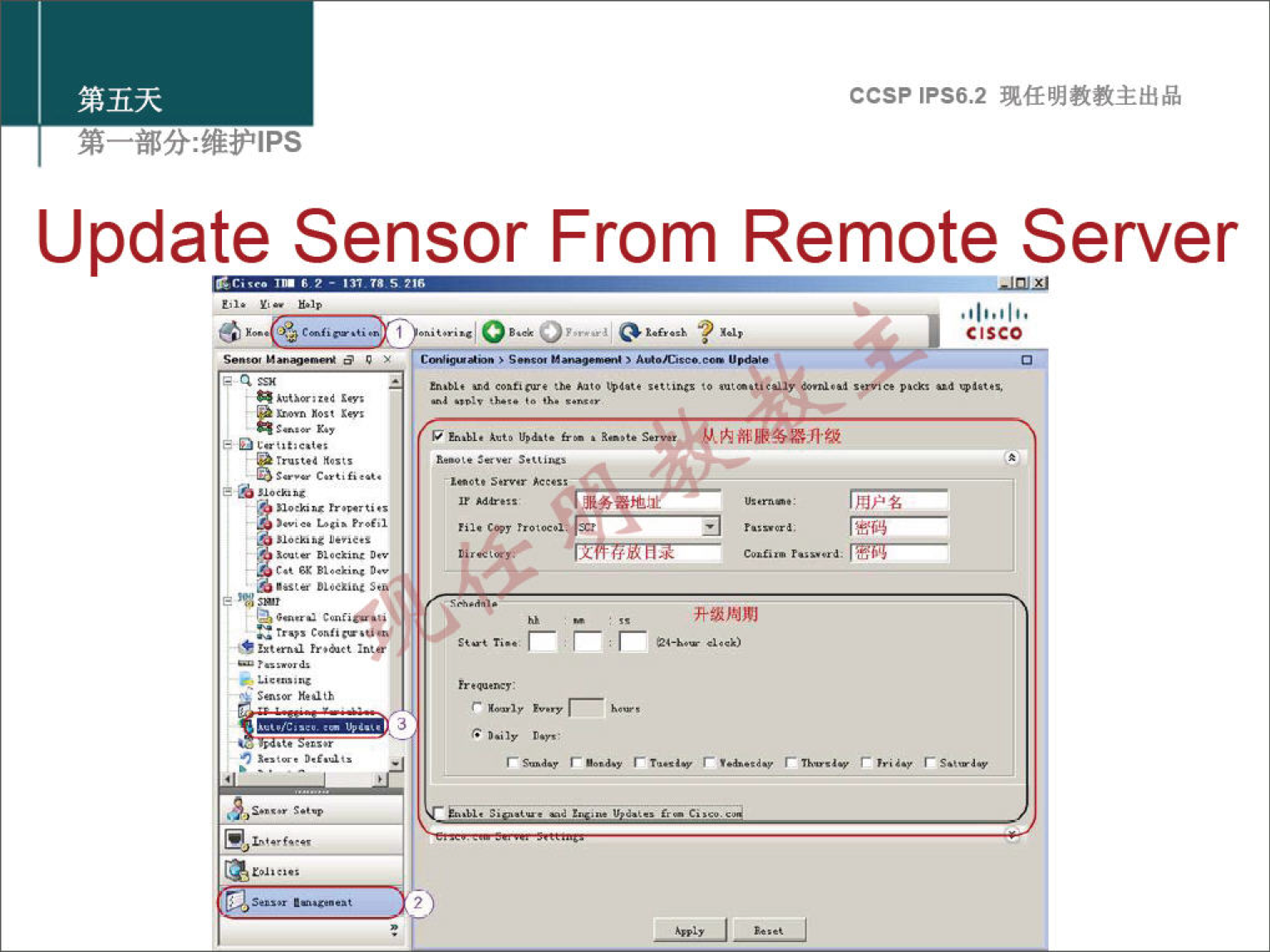 ccsp IPS6.2 Update Sensor From Remote Server CISCO 