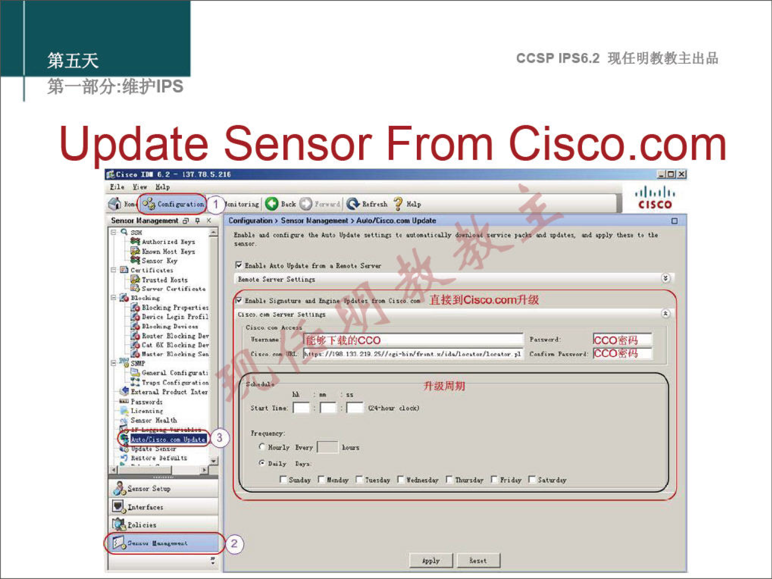 ccsp IPS6.2 Update Sensor From Cisco.com CISCO 