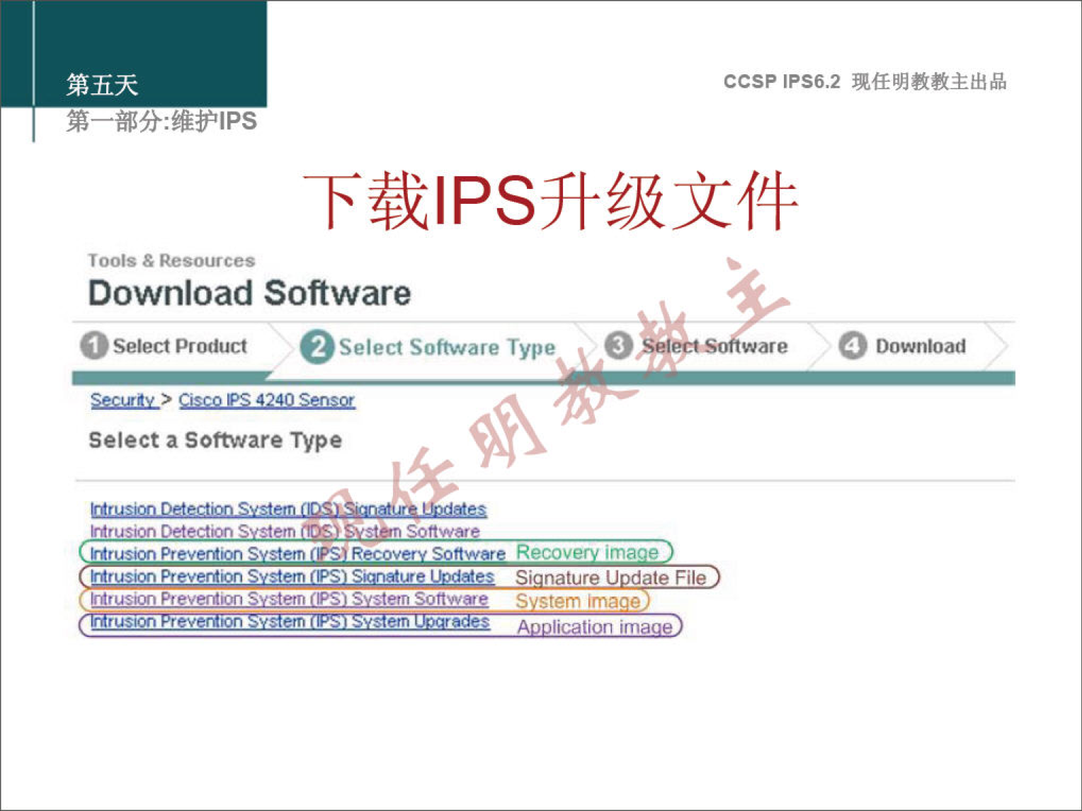 T OOIS & Download Software O O Select product Select Software Type •s ccsp IPS6.2 O Download Select a Software Type rue S stem Recov Sottw IrOusvon P' (IPSj Svsterrl Recove ima e natu U da Fi S stem ma e 